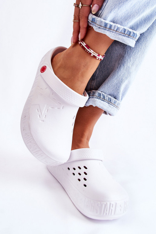   Kerged lehvidega  Big Star II275003 valget värvi