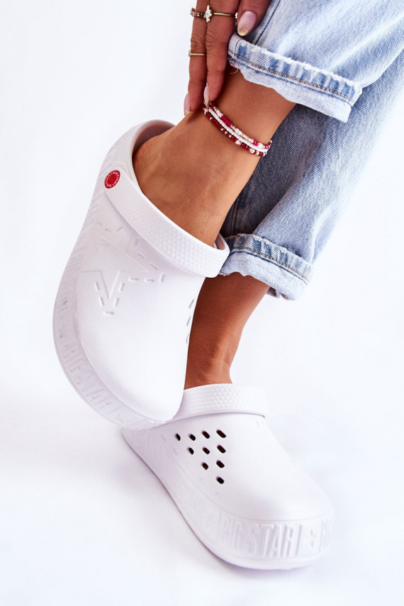   Kerged lehvidega  Big Star II275003 valget värvi