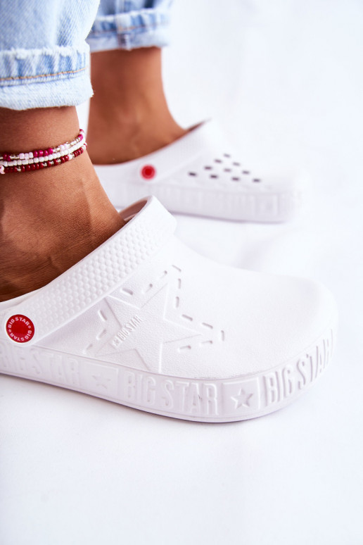   Kerged lehvidega  Big Star II275003 valget värvi
