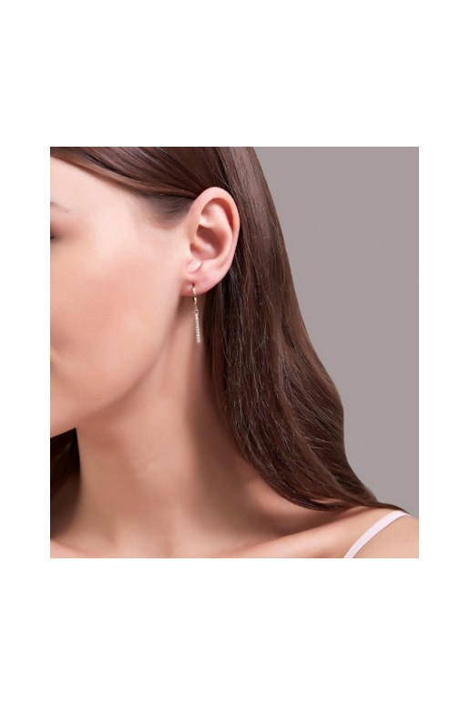 Kõrvarõngad kristallidega