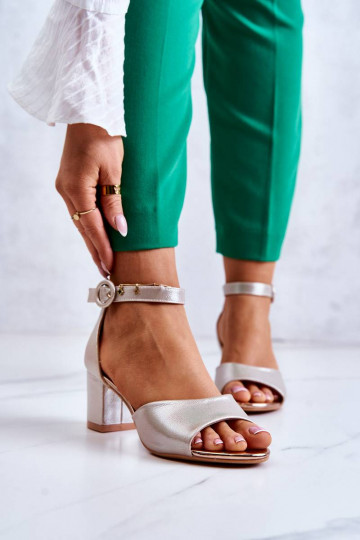 Naistesandaalid kõrge...