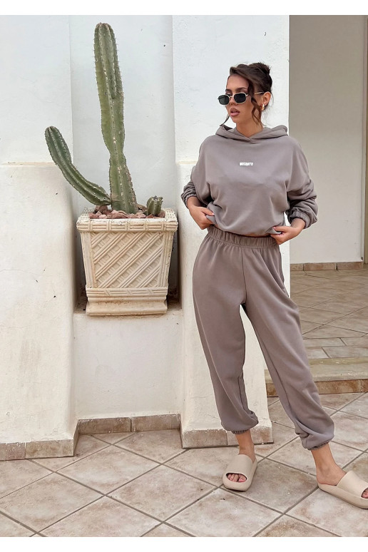 Icon - beež värv kapuutsiga dressipluus Icon - beež värv kapuutsiga dressipluus