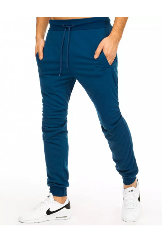 Meeste sinised dressipüksid