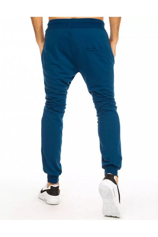 Meeste sinised dressipüksid