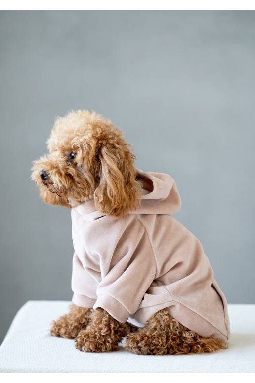 Koera riided hoodie Beige