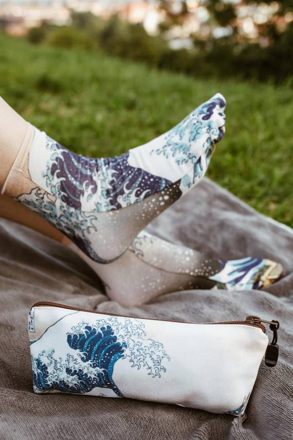 Pliiatsikott Hokusai