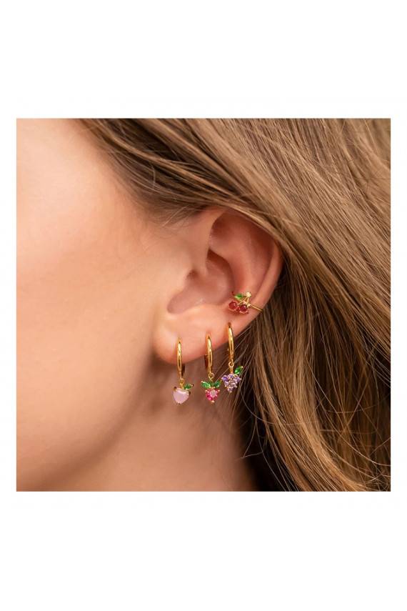 Stiilsed kõrvarõngad Fruity 1 K1546WZ4